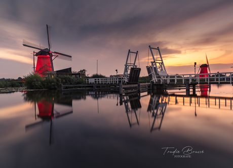 Kinderdijk in het rood 