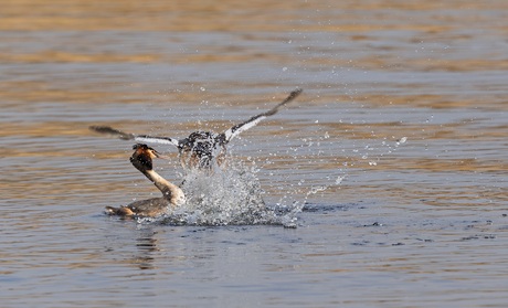 Achter de waterdruppels