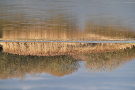 Een k-riet-ische blik op de horizon