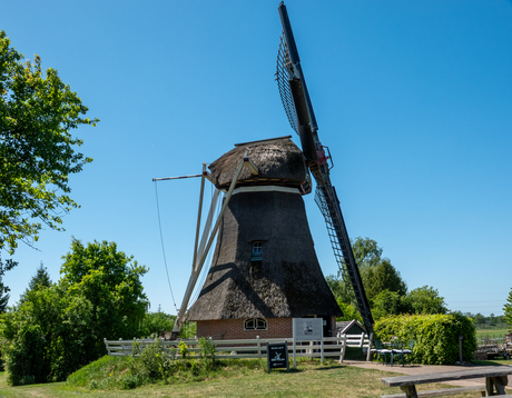 Molen