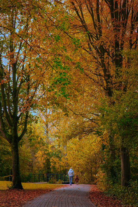 Wandeling in het park