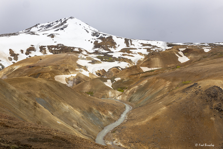 Ryoliet bergen bij Landmannalaugar