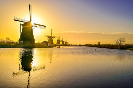 Sunrise 