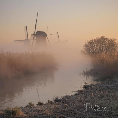 Kinderdijk 