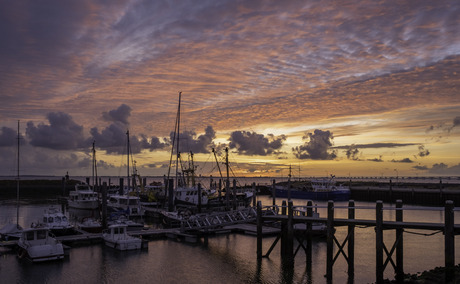 Haven Colijnsplaat