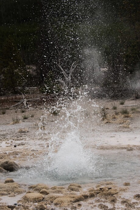 yellowstone  geyser