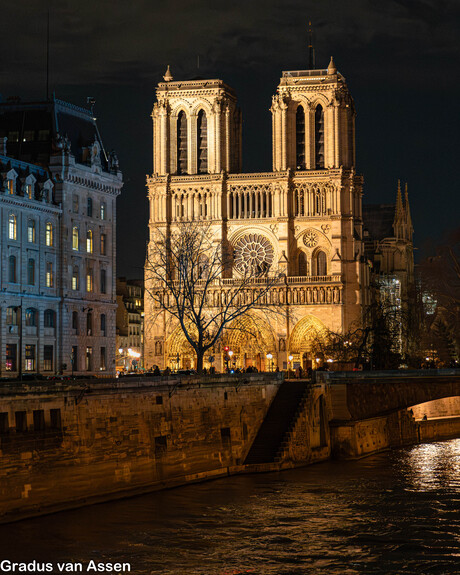 Notre Dame