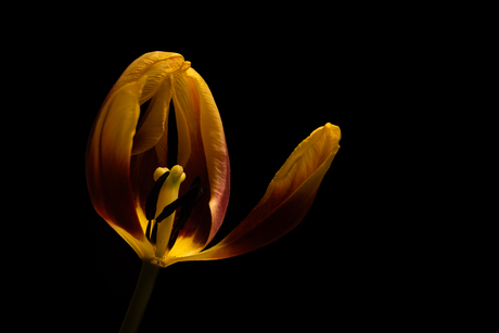 Als je niet kunt slapen