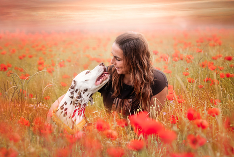 flower love