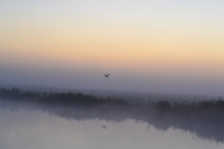 Zonsopkomst mistige morgen 