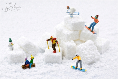 Miniatuur winterwereld ❄️ 