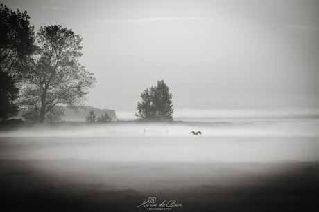 Mistige ochten in Fryslân