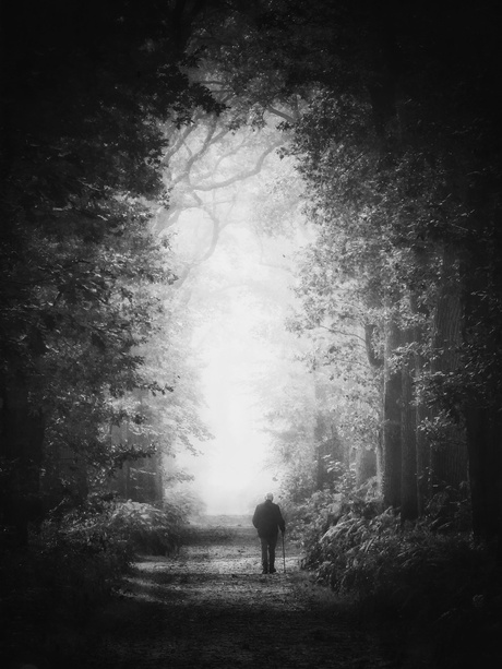 In lichtjaren* heeft niemand haast.