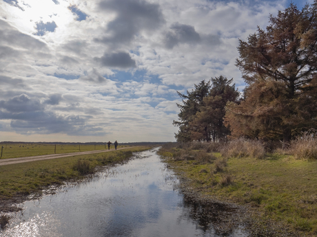 Texel - de Muy