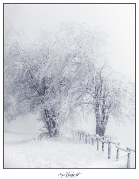 Stilte in de sneeuw