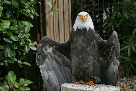 "kom maar...........................