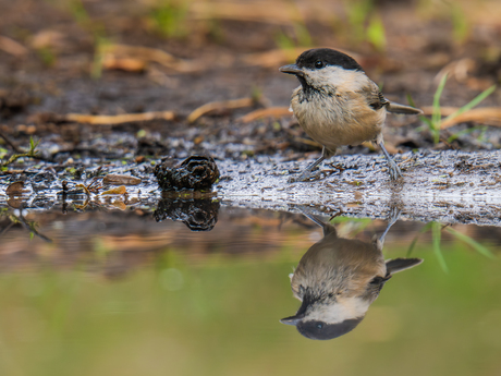 even tijd om stil te staan