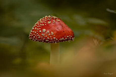 Eindelijk weer herfst!