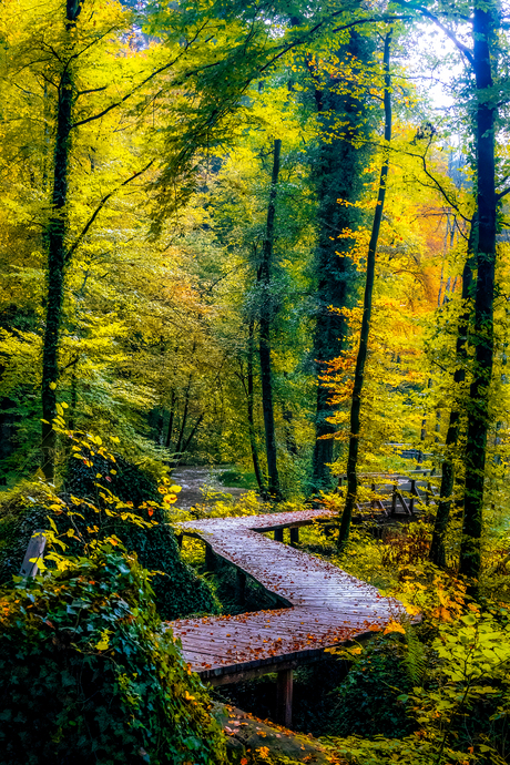 herfst in duitsland