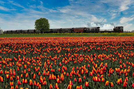 Op de trein wachten