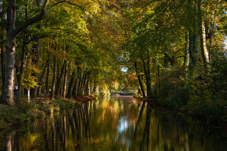 in het bos