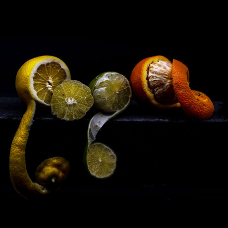 Citrusvruchten 