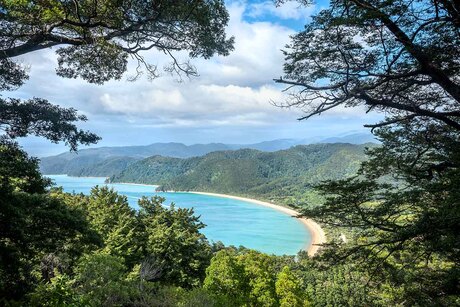 Abel Tasman park