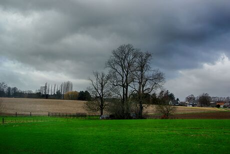 Veldweg met stormweer