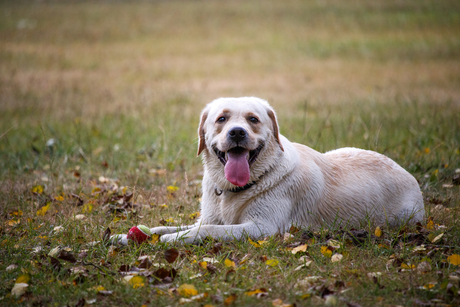 Uitpuffen na het zwemmen 