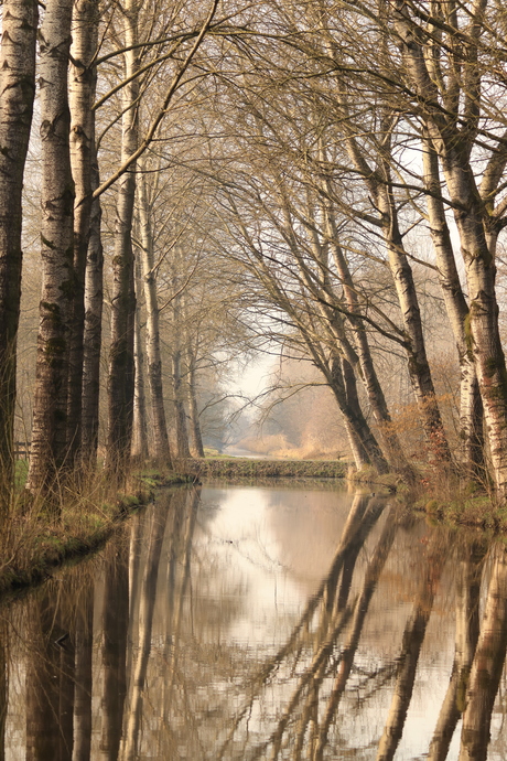 Doorkijkje