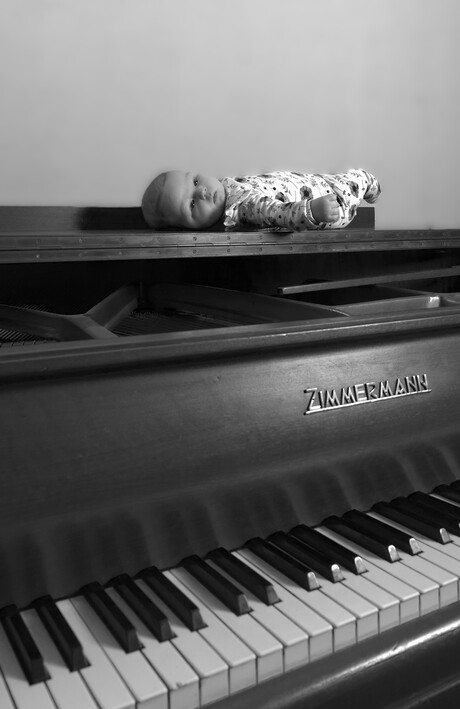 Jong geleerd,  oud gedaan