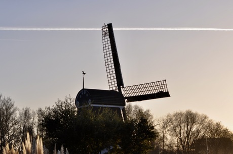 Molen in het Avond licht 