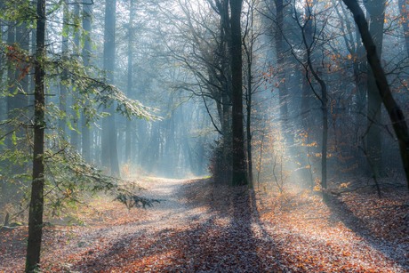 Sprookjesbos Hemelse Berg, Oosterbeek
