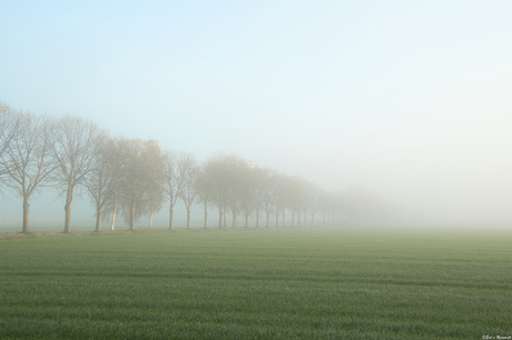 De Mist in