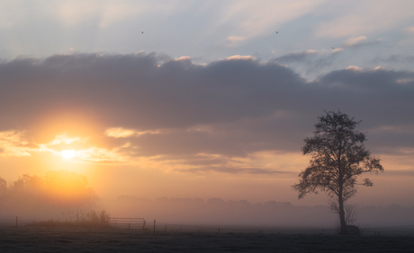 Ge(s)laagd landschap 