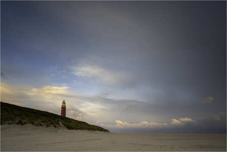 Texel [311]
