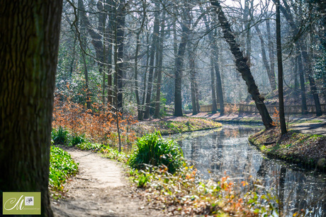 Wandelen in Ockenburgh