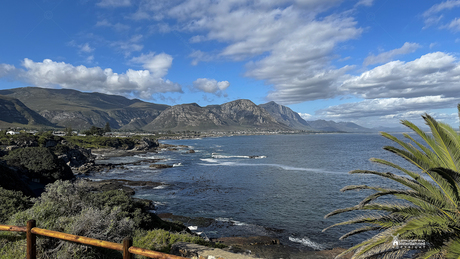 Zuid Afrika