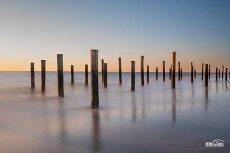 Palendorp Petten (1)