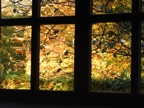 Herfstlicht door de ramen van het Openluchtmuseum