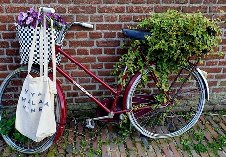 Bloemenfiets