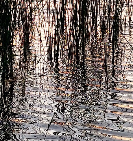 water . Wit-Rusland