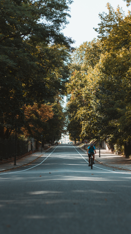 Street between Park