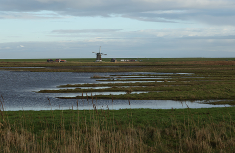 Landschap op Texel