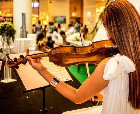 the girl with the violin