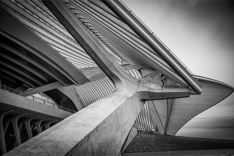 Symfonie van Staal en Licht