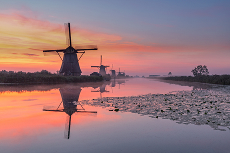 Zonsopkomst Kinderdijk 