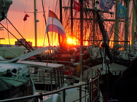 SAIL 2010