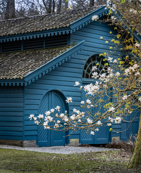 contrast   gisteren met vandaag 