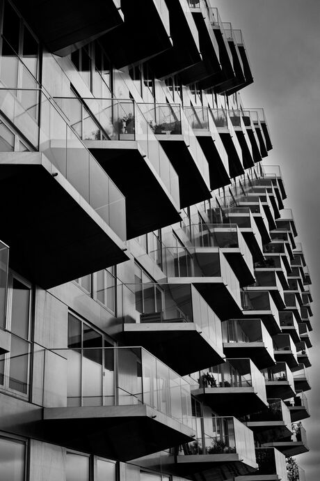 zwart/wit
